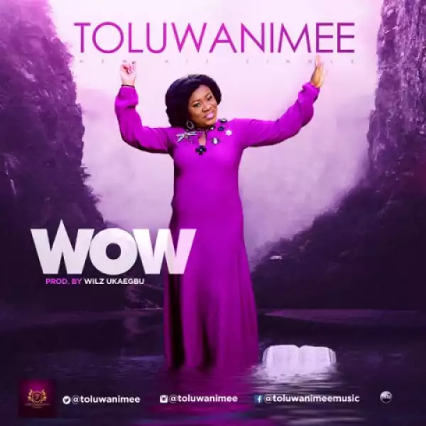 Toluwanimee - WOW